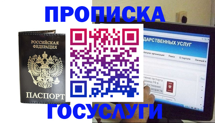 прописка гарантия в Тереке